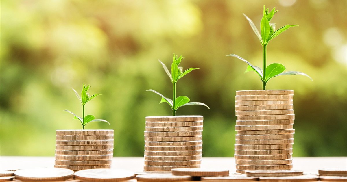 Coins stacked with a growing plant